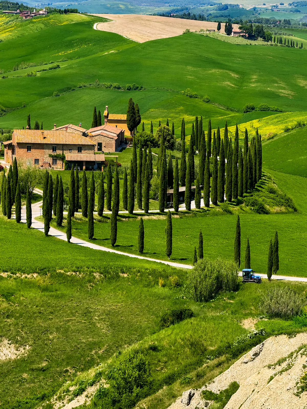 ואל ד'אורצ'ה (Val d'Orcia) — שדרת הברושים המפורסמת של טוסקנה, צילום מאת WOW Toscana